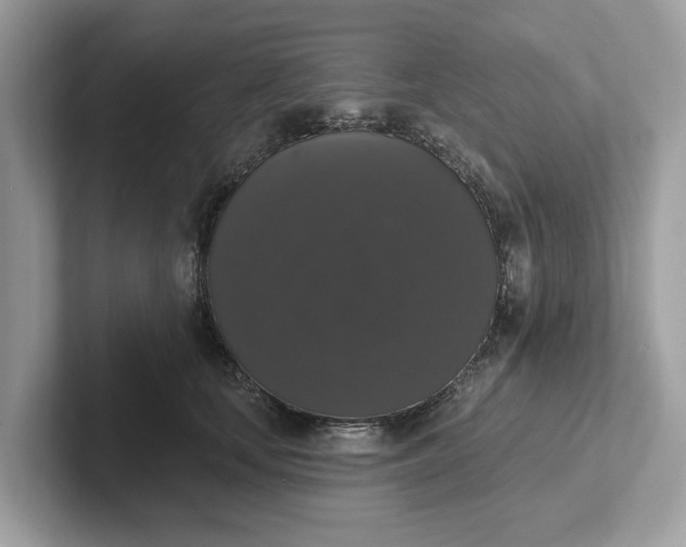 X0000101400659200807211035