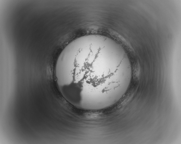 X0000101400661200807211035