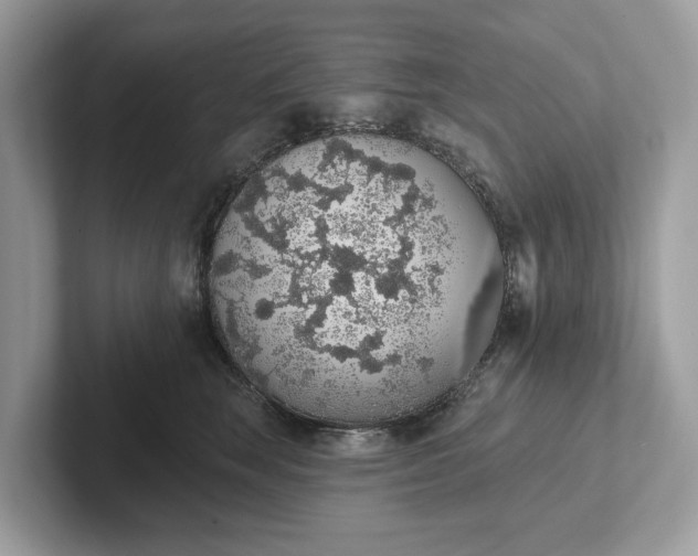 X0000101400663200807211035