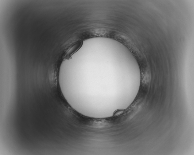 X0000101400666200807211035