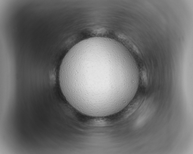 X0000101400668200807211035