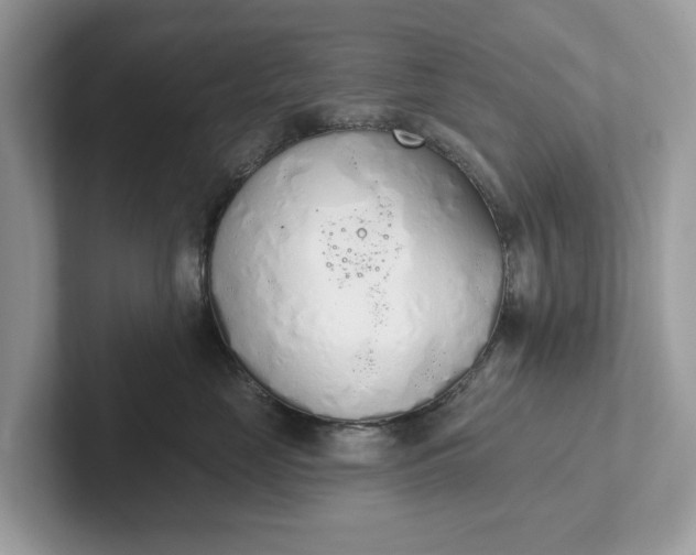 X0000101400669200807211035