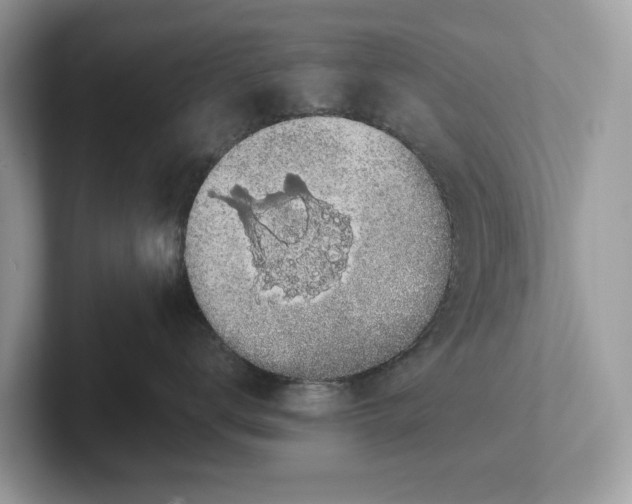 X0000101400672200807211035