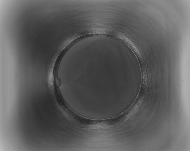 X0000101400674200807211034