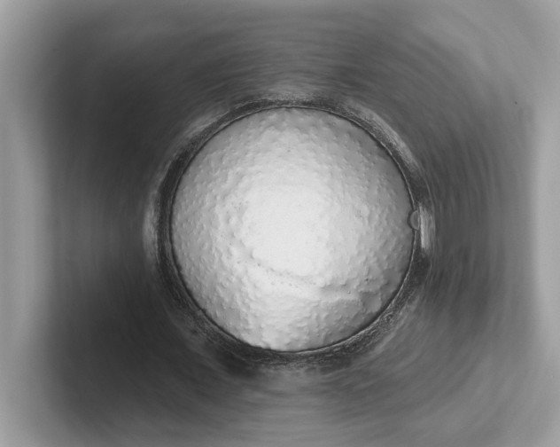 X0000101400675200807211034