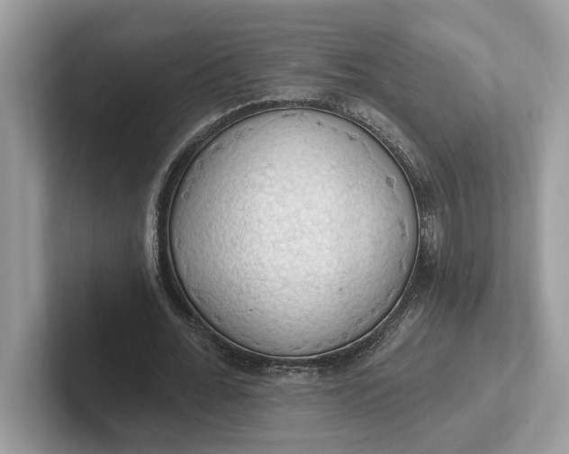 X0000101400676200807211034