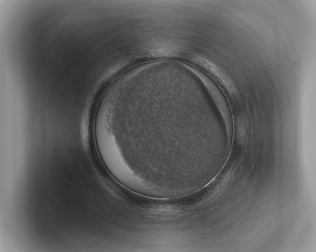 X0000101400677200807211034