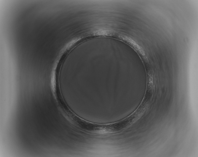 X0000101400678200807211034