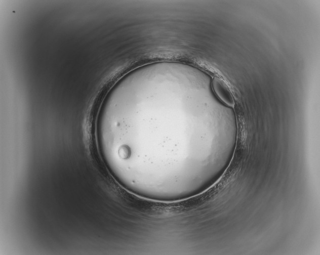 X0000101400679200807211034