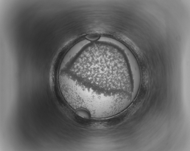 X0000101400680200807211034