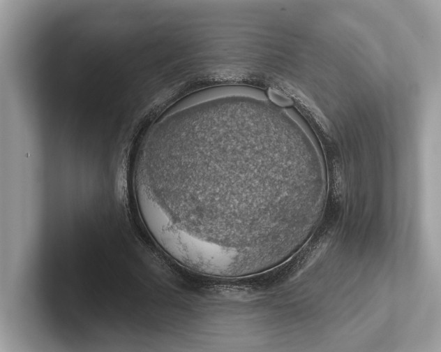 X0000101400681200807211034