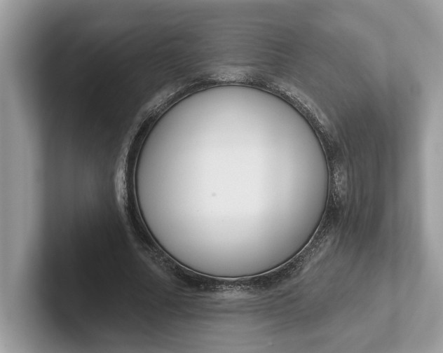 X0000101400682200807211034