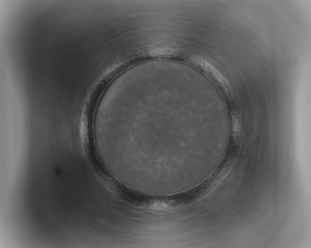 X0000101400684200807211034