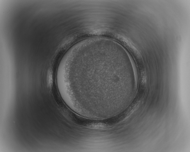 X0000101400685200807211034