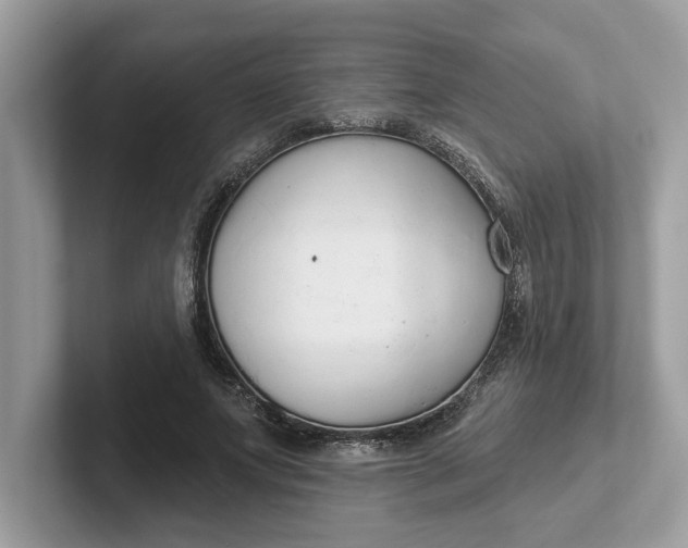 X0000101400687200807211034