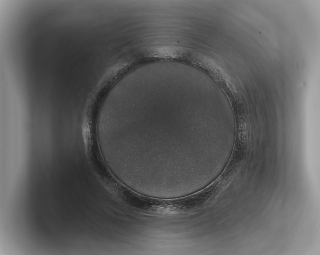 X0000101400688200807211034