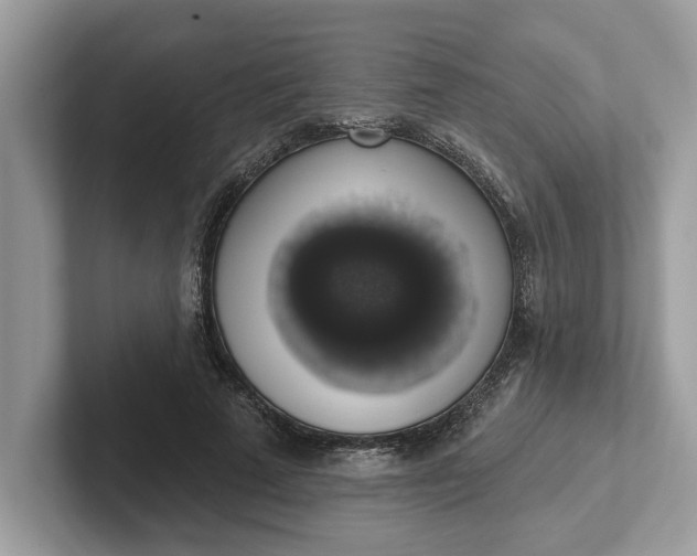 X0000101400689200807211034