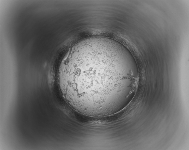 X0000101400691200807211034