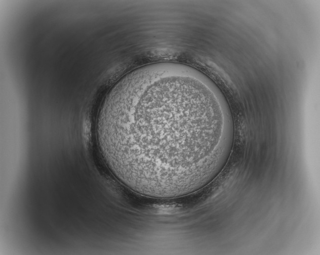 X0000101400693200807211034