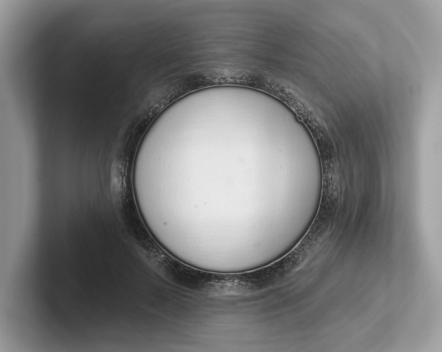 X0000101400695200807211034