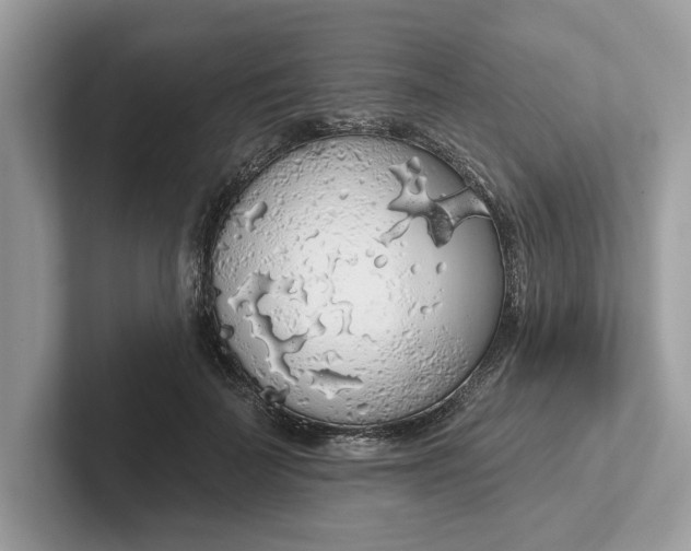 X0000101400699200807211034