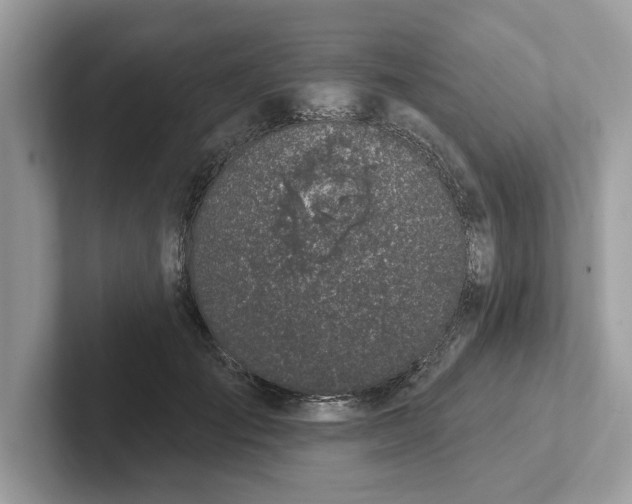 X0000101400701200807211034