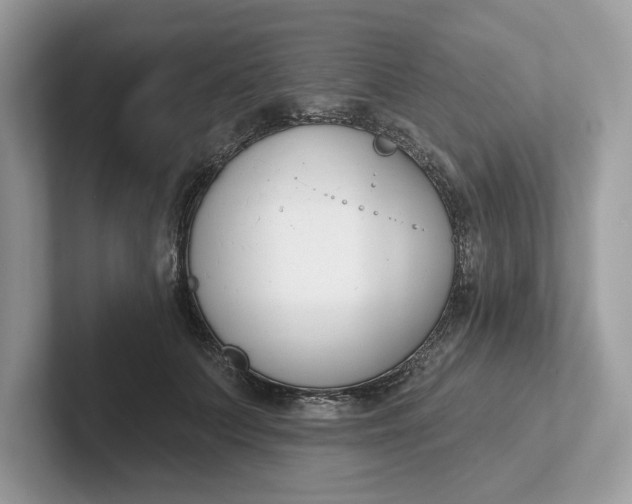 X0000101400703200807211034