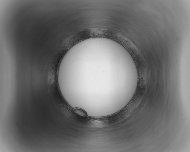 X0000101400706200807211034