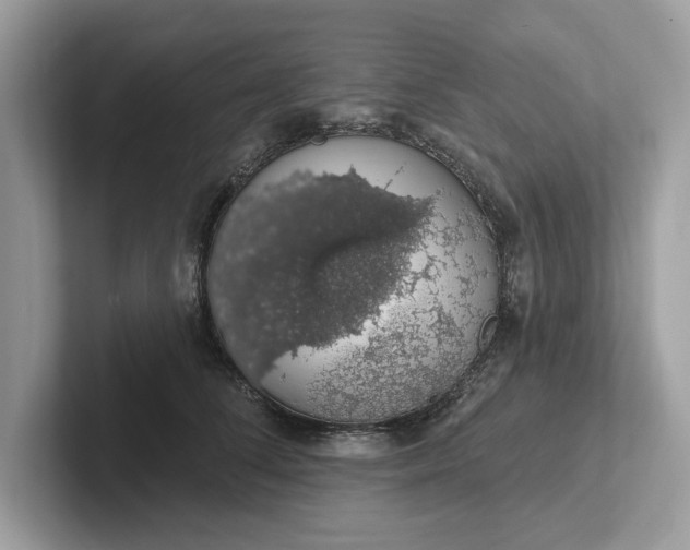 X0000101400708200807211034