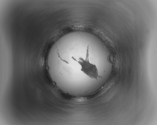 X0000101400711200807211034