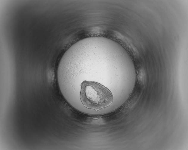 X0000101400715200807211034