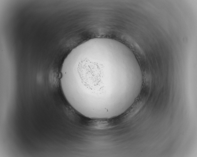 X0000101400719200807211034