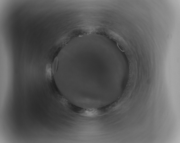 X0000101400720200807211034