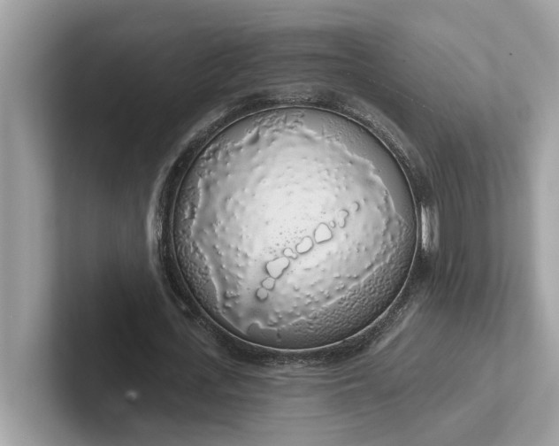 X0000101400723200807211033