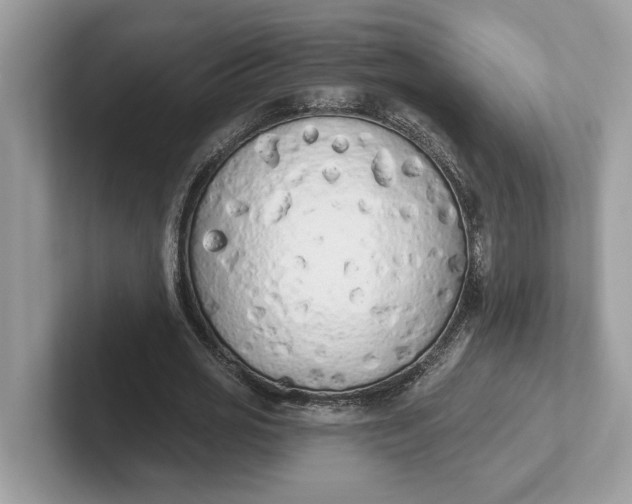 X0000101400725200807211033