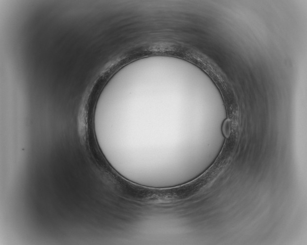 X0000101400727200807211033