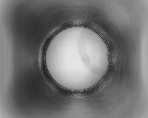 X0000101400728200807211033