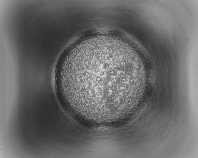 X0000101400730200807211033