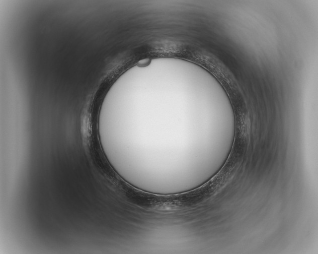 X0000101400731200807211033