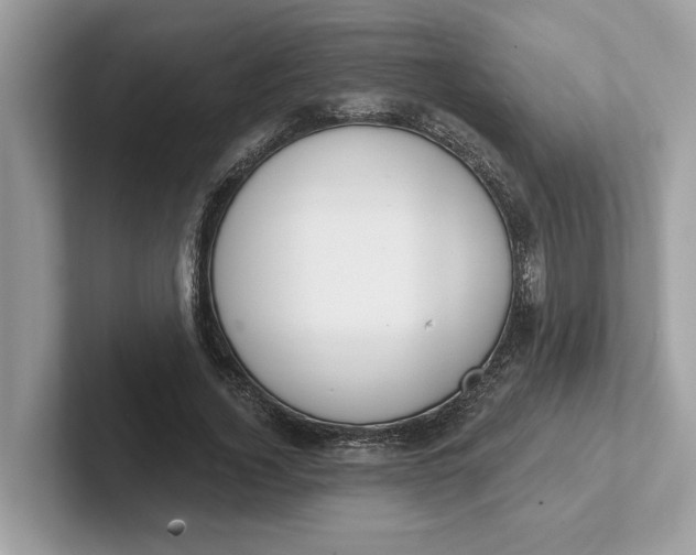 X0000101400732200807211033