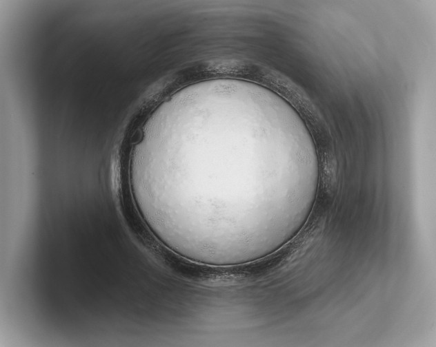 X0000101400734200807211033