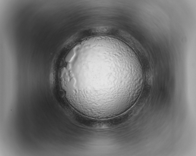 X0000101400735200807211033