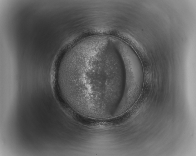 X0000101400736200807211033