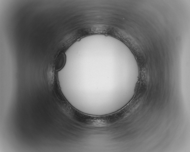 X0000101400741200807211033