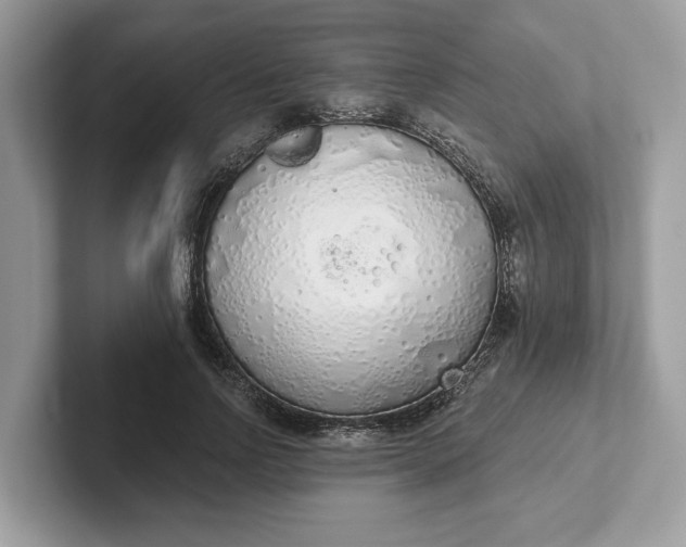 X0000101400742200807211033