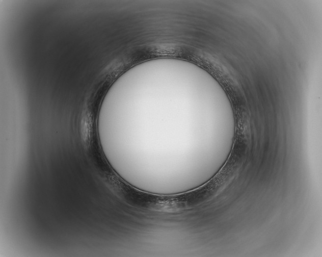 X0000101400744200807211033