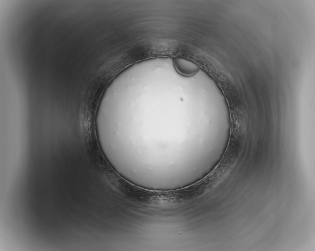 X0000101400745200807211033