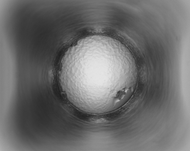 X0000101400747200807211033