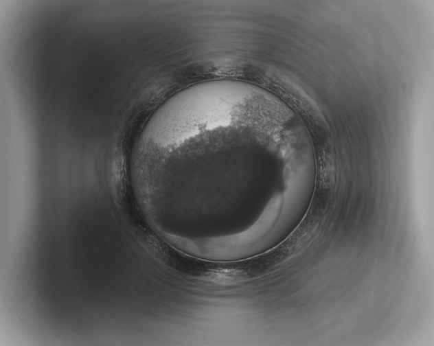 X0000101400748200807211033