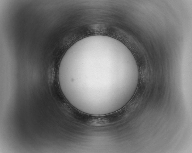 X0000101400752200807211034